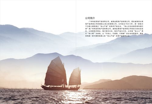 品金星伟政泽海产品公司产品画册设计 - 广州活动策划公司-广州开业