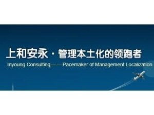 上和安永企业管理咨询 中国 有限公司